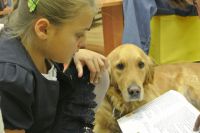 Несмотря на большую загруженность, собаки сохраняют в себе любовь к детям и приходят на уроки чтения в отличном настроении.