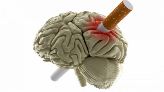 Влияние сигарет на головной мозг
