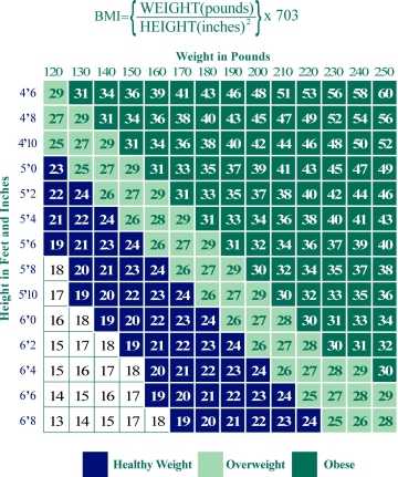 Figure 8: BMI Weight Chart
