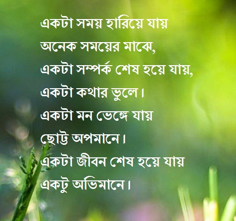 Bangla status about life sad