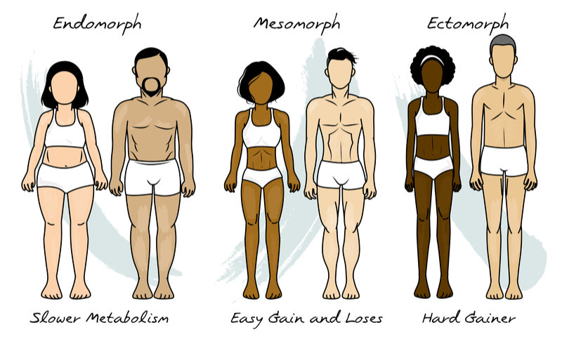  3 body types