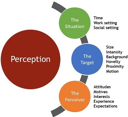 factors which affect perception