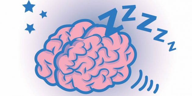 факты о мозге: работа мозга во сне