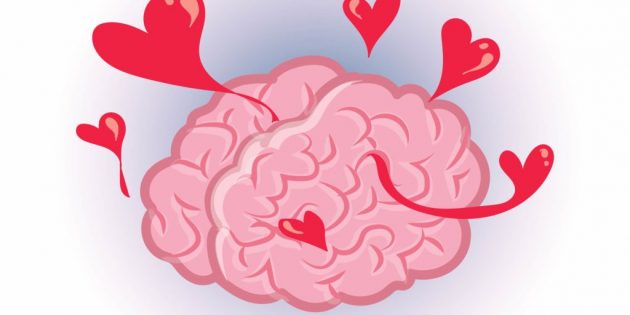 факты о мозге: влюбленность