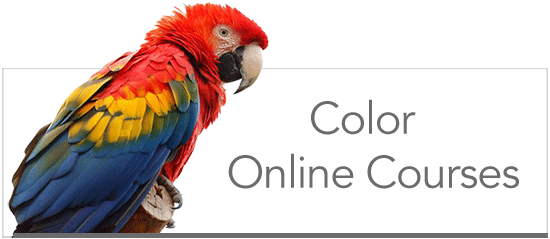 Color Parrot online courses 550
