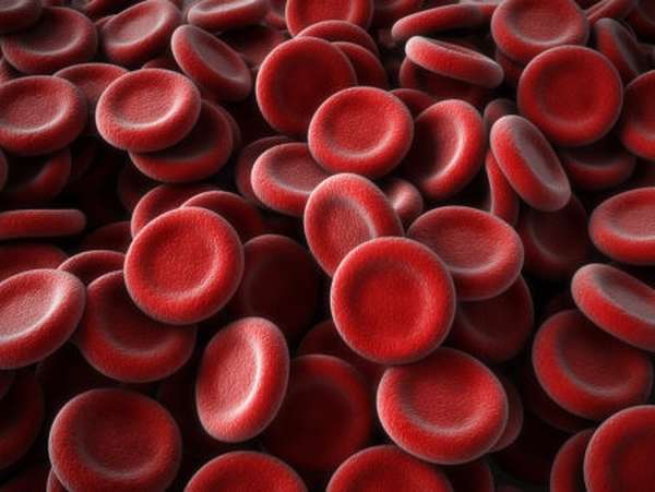 Характеристика людей с 1 группой крови и резус-положительным фактором, предрасположенность к заболеваниям
