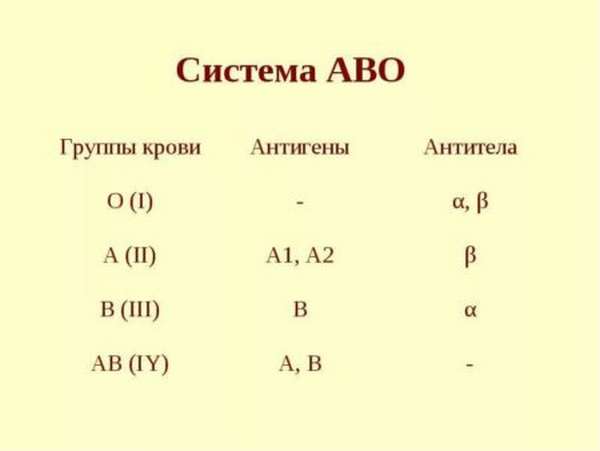 Что значат обозначения группы крови, система AB0, расшифровка и резус-фактор