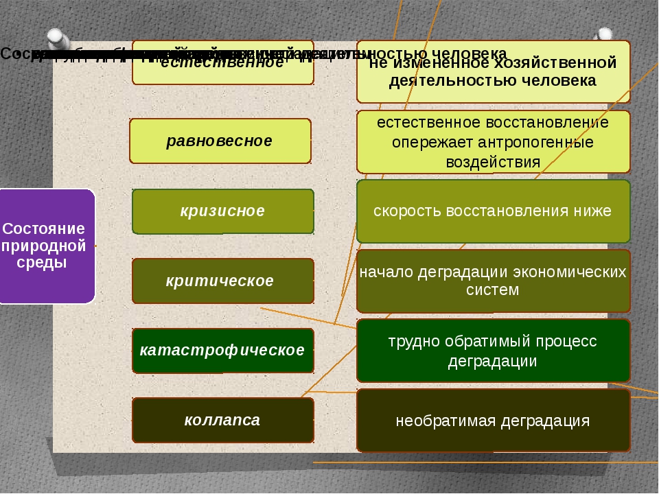 Дайте характеристику растровых изображений ответив кратко на следующие вопросы из каких элементов