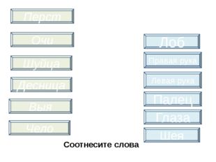 Каторга – старинное гребное судно, род галеры. 