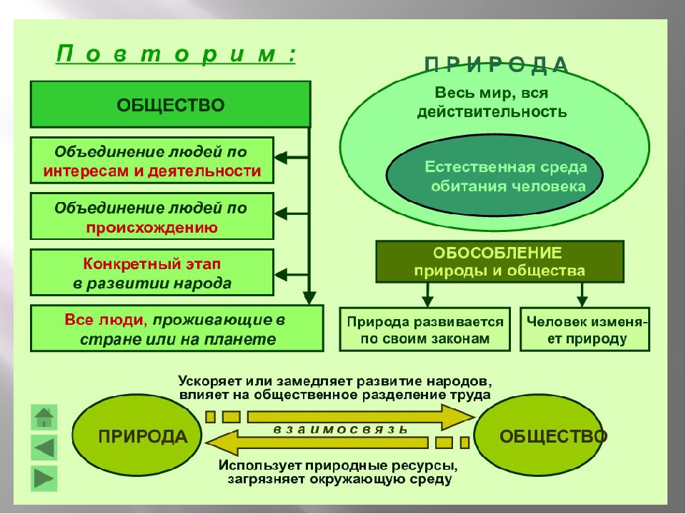 Влияние природы на развитие общества презентация 8 класс география