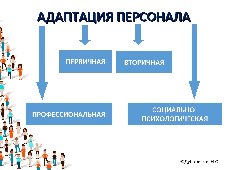 Трудовая адаптация картинки