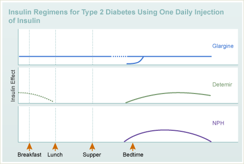 Insulin Regimens for Type 2 Diabetes Using One Daily Injection of Insulin
