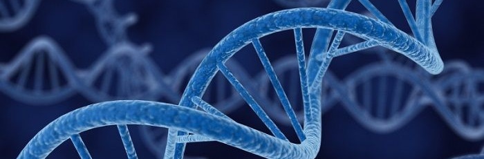 Основные факты о генетике и геноме человека