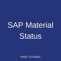 SAP Material Status