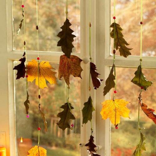 Осенний фотоальбом на каждый день. Планы на осень: 50 важных дел осени