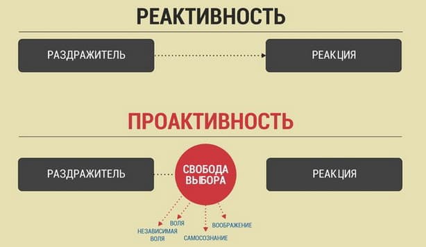 Что значит проактивность? Как развивать проактивность?