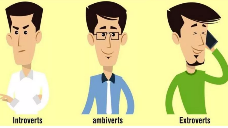 Амбиверт — тип личности, который складывается из экстраверта и интроверта