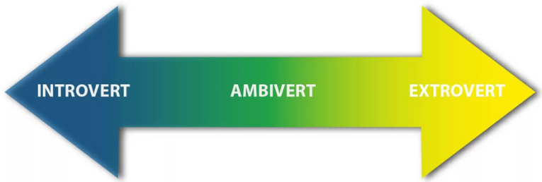 Амбиверт — что это значит: характеристика