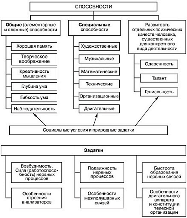 Способности в психологии. Что это такое, определение, виды кратко, примеры