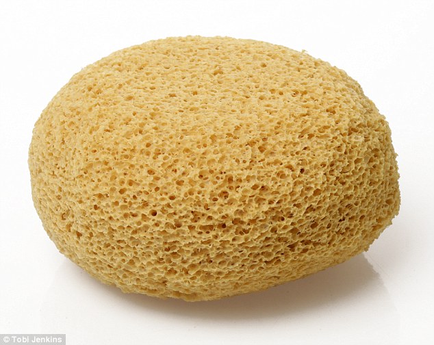 The closely packed holes in sponges (pictured) can a