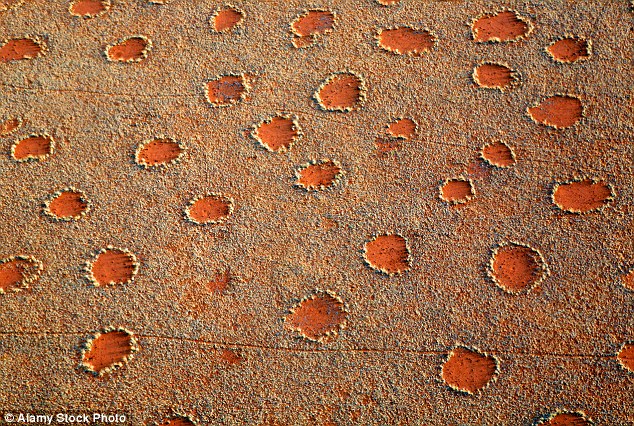 The Fairy Circles that dot the landscape of Namibia (pictured) are another common trigger