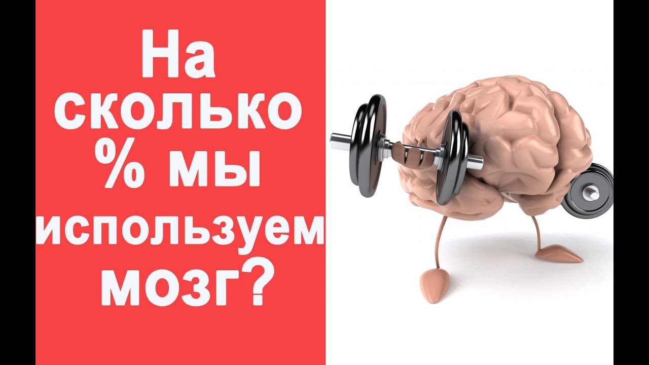 Мозг изучен на процентов. Процент работы человеческого мозга. Использовать свой мозг. Мозг человека используется. Мозг задействован на 10%.