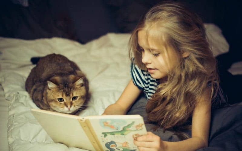 elementary aged girl with long hair reading book to cat on bed, family rules allow pets in house