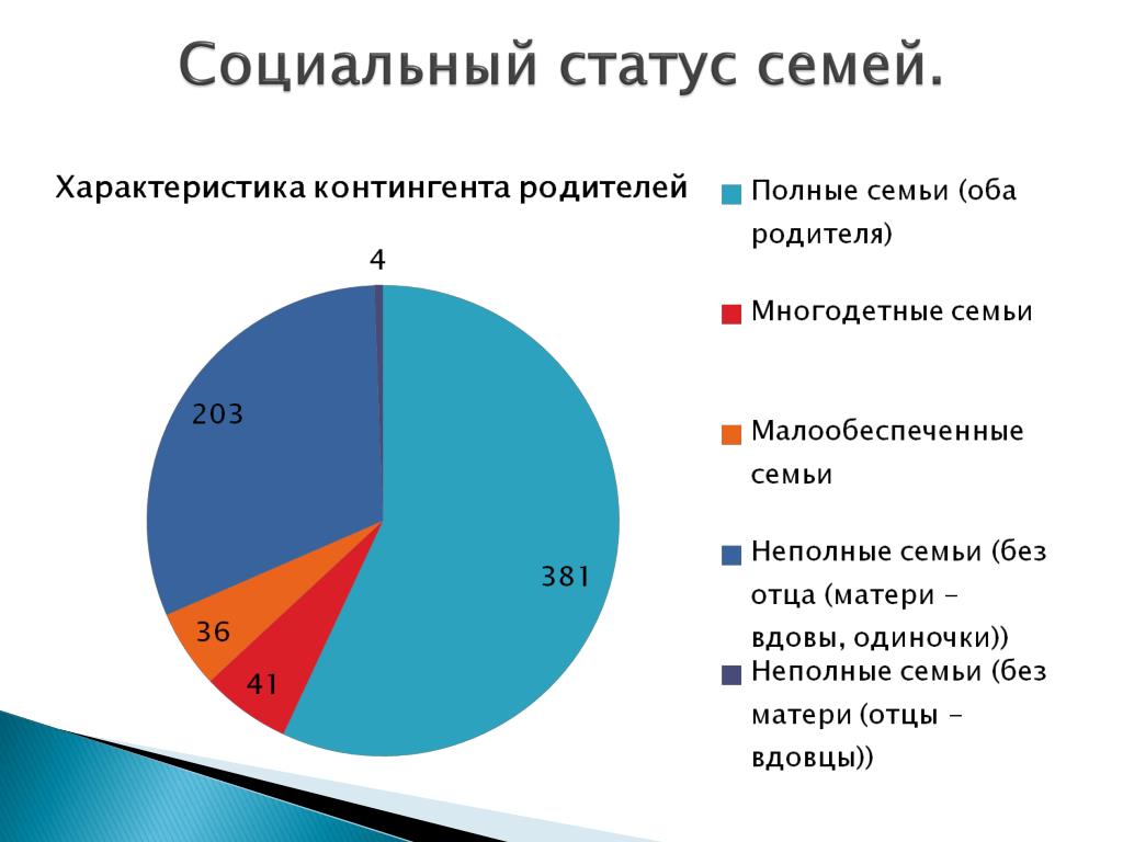 Социальное и материальное положение семьи образец