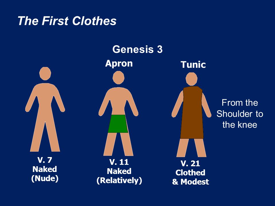 The First Clothes Genesis 3 V. 7 Naked (Nude) V. 11 Naked (Relatively) Apron Tunic V.