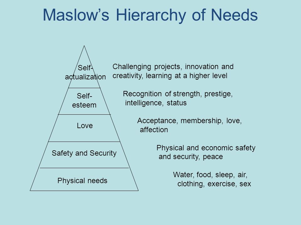 Maslow’s Hierarchy of Needs Physical needs Safety and Security Love Self- esteem Self- actualization Challenging projects, innovation and creativity, learning at a higher level Recognition of strength, prestige, intelligence, status Acceptance, membership, love, affection Physical and economic safety and security, peace Water, food, sleep, air, clothing, exercise, sex