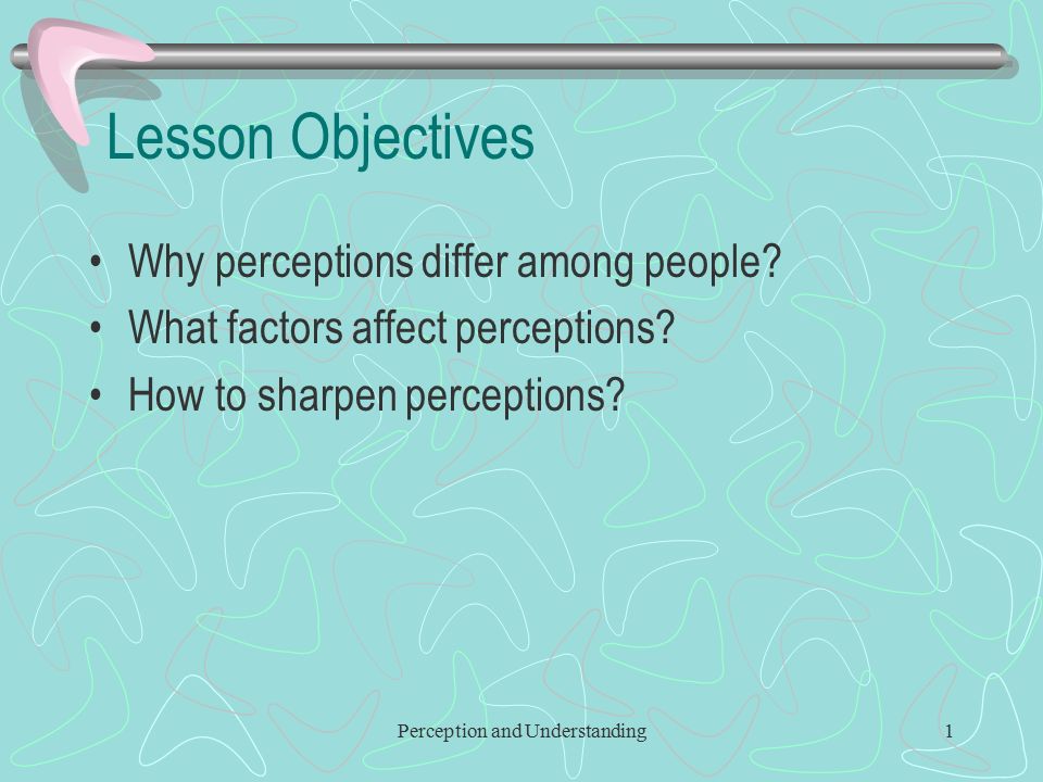 Perception and Understanding1 Lesson Objectives Why perceptions differ among people.