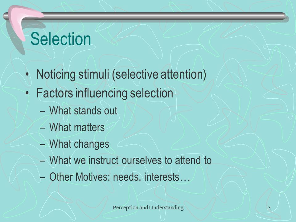Perception and Understanding3 Selection Noticing stimuli (selective attention) Factors influencing selection –What stands out –What matters –What changes –What we instruct ourselves to attend to –Other Motives: needs, interests …