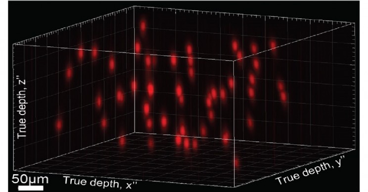 Scientists Are Using Holograms to Edit Brain Activity