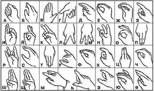 Как учить язык жестов