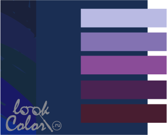 Сочетание темно-синего и фиолетового