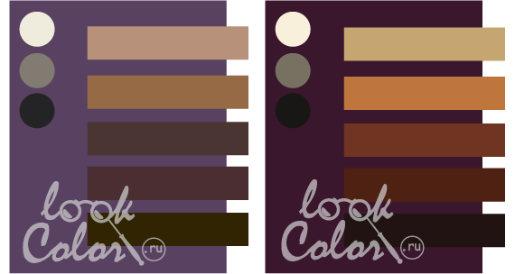 сочетание серо-фиолетового и баклажанового с коричневым