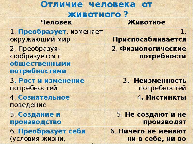 Выберите отличия человека от животных