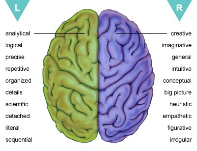 left-brain, right-brain personality