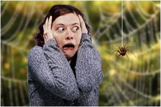 девушка боится пауков