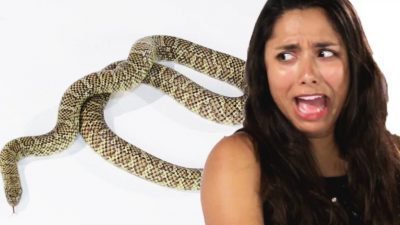 Офидиофобия - страх змей