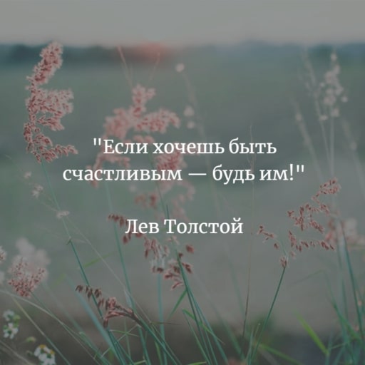 Высказывание Льва Толстого о счастье