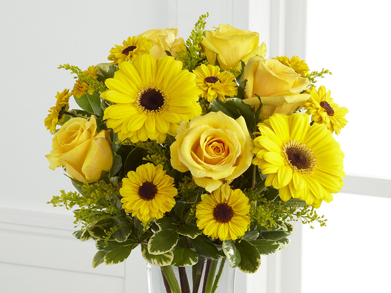 Желтые цветы – символ молодой любви