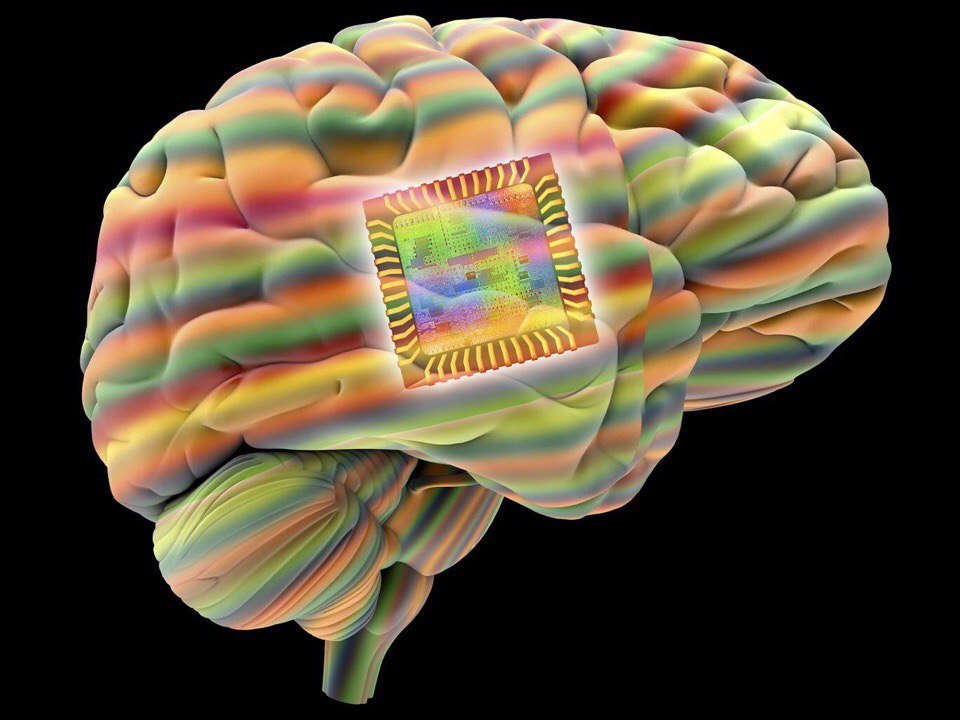 Визуализация памяти в мозгу