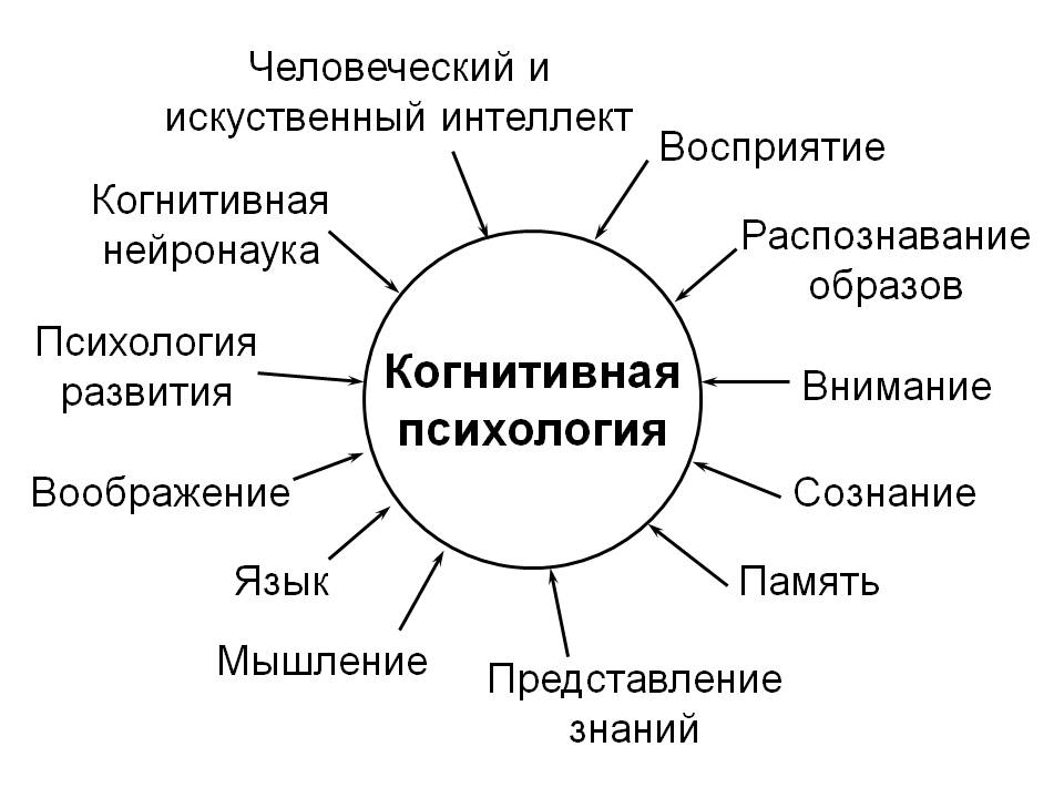 Что изучает когнитивная психология