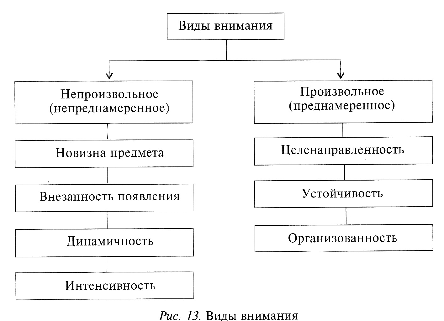 Виды внимания