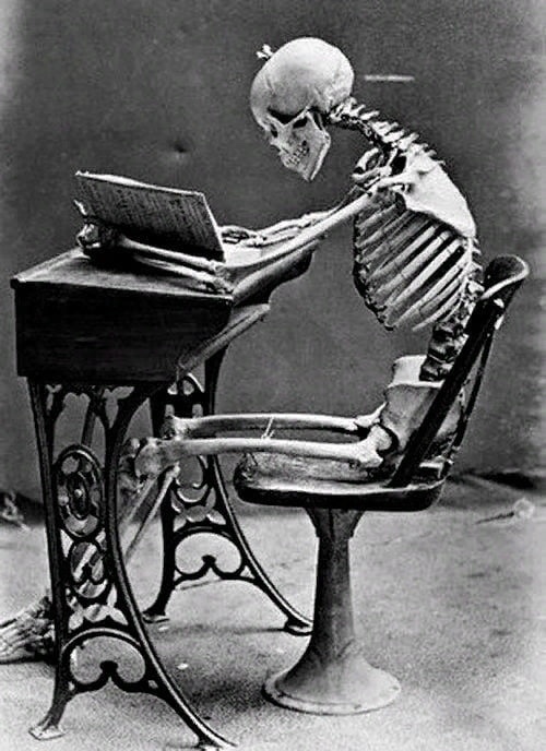 скелет сидит за книгой учится