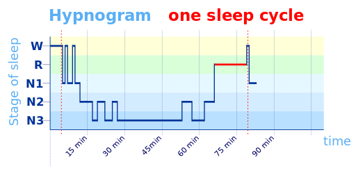 Hypnogram - one sleep cycle
