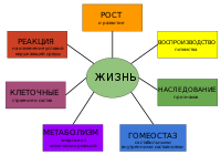 Characteristics of life-ru.svg