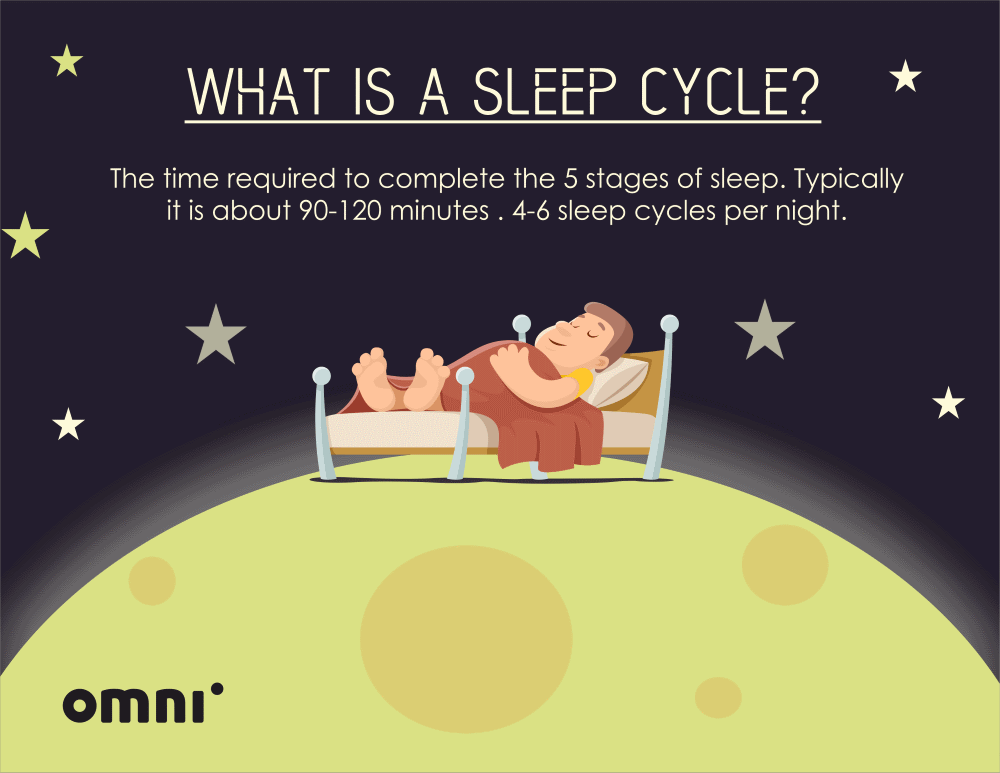 image with definition of sleep cycle