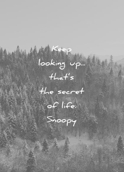 life quotes keep looking thats secret snoopy wisdom